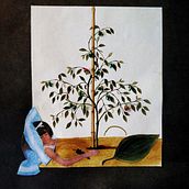 Mi Proyecto del curso: Sastrería de papel: ilustrando con tijeras. Un projet de Artisanat, Collage , et Papercraft de Gemma Arnal Jericó - 09.01.2022