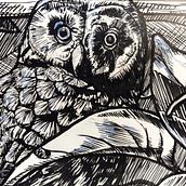 My project in Daily Sketching for Creative Inspiration course. Traditional illustration, Sketching, Creativit, Drawing, and Sketchbook project by Chloe Farrant - 01.03.2022