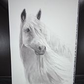 My project in Expressive Animal Portraits in Watercolor course. Traditional illustration, Watercolor Painting, Realistic Drawing, and Naturalistic Illustration project by Katherine Clough - 01.10.2022