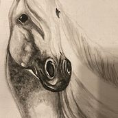 My project in Expressive Animal Portraits in Watercolor course. Un projet de Illustration traditionnelle, Aquarelle, Dessin réaliste, Illustration naturaliste , et Peinture de Alisha Wood-kirkham - 10.01.2022