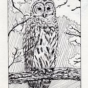 My project in Dip Pen and Ink Illustration: Capturing The Natural World course. Sketching, Drawing, Artistic Drawing, Sketchbook, Ink Illustration, and Naturalistic Illustration project by Rommel John Panal - 01.11.2022