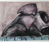 Mein Kursprojekt: Ausdrucksstarke Tierporträts in Aquarell. Projekt z dziedziny Trad, c, jna ilustracja, Malowanie akwarelą, R, sunek realist, czn, Ilustracja naturalist i czna użytkownika Rotz Bernhard - 11.01.2022