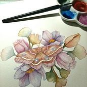 Mi Proyecto del curso: Dibujo y composición naturalista en acuarela. Projekt z dziedziny Trad, c, jna ilustracja,  R, sunek, Malowanie akwarelą, Ilustracja naturalist i czna użytkownika Marga Gst - 11.01.2022