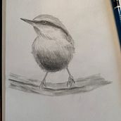 Mon projet du cours : Techniques artistiques d'aquarelle pour illustrer les oiseaux. Traditional illustration, Watercolor Painting, Realistic Drawing, and Naturalistic Illustration project by Lynda Flamand - 01.12.2022