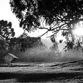 De à Cavalo. Photograph project by Daniel Machado - 01.12.2022