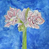 Mein Kursprojekt: Botanisches Zeichenheft: ein meditativer Ansatz. Traditional illustration, Sketching, Drawing, Watercolor Painting, Botanical Illustration, and Sketchbook project by agneshammerstein - 01.13.2022