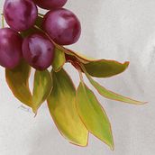 Aromas de verano. Traditional illustration project by Lorena Morales Alcaide - 01.13.2022