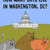 DC Cat Count. Traditional illustration project by cginsberg - 11.09.2021