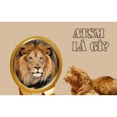 ATSM là gì? Ý nghĩa viết tắt của từ ATSM trên Facebook. Projekt z dziedziny Trad, c, jna ilustracja,  Muz i ka użytkownika Máy rửa xe Mini - 14.01.2022