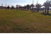 Mi Proyecto del curso: Duelo en el parque . % cafeinomanadelosrizos tarafından hazırlanan Yazma, Yaratıcılık, Hika, e anlatımı, Anlatı, Ve Yaratıcı Yazarlık projesi - 01.14.2022