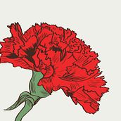 Claveles. Un progetto di Scrittura, Stor, telling, Comunicazione, Narrativa e Scrittura di narrativa non-fiction di Fiamma Perazzo - 14.01.2022