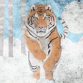Tigris. Un progetto di Illustrazione vettoriale, Illustrazione tradizionale, Illustrazione digitale e Illustrazione infantile di kalinsan1 - 12.01.2022