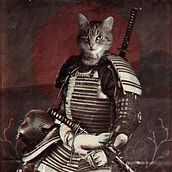 Anthropomorphisme. Een project van Digitaal ontwerp y Fotomontage van Maiwen Marchal - 14.01.2022