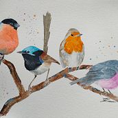 My project in Artistic Watercolor Techniques for Illustrating Birds course Ein Projekt aus dem Bereich Traditionelle Illustration, Aquarellmalerei, Realistische Zeichnung und Naturalistische Illustration von clau2993_ - 15.01.2022