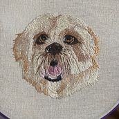 Mi Proyecto del curso: Needle painting para principiantes. Un proyecto de Bordado, Ilustración naturalista				 y Diseño textil de Ale Mo - 16.01.2022