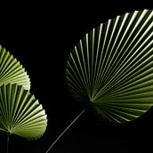 Origami leaves – Mosaique (Maison&Object USA). Paper Craft project by Lisa - 01.16.2022