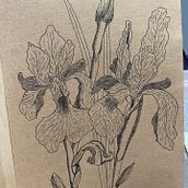 Iris au liner . Traditional illustration project by Aurelie Charpentier - 01.16.2022