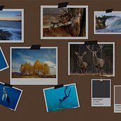 My project in Fantastical Photomontage and Illustrations in Photoshop course. Photograph, Collage, Photo Retouching, Digital Illustration, Photographic Composition, and Photomontage project by Adam Timlin - 01.14.2022