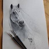 Mein Kursprojekt: Ausdrucksstarke Tierporträts in Aquarell. Ilustração tradicional, Pintura em aquarela, Desenho realista e Ilustração naturalista projeto de Annette Dittmer - 16.01.2022