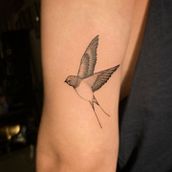 Swallow. Un projet de Conception de tatouage de Agnieszka Szneidrowska - 16.01.2022