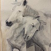 Mon projet du cours : Initiation à la peinture sumi-e Ein Projekt aus dem Bereich Traditionelle Illustration, Zeichnung und Illustration mit Tinte von morin48 - 16.01.2022