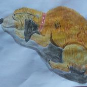 Mi Proyecto del curso: Dibujo para principiantes nivel -1. Painting, Picturebook, Animated Illustration, Naturalistic Illustration, Artistic Drawing, Watercolor Painting, Pencil Drawing, and Sketching project by Luis Carlos Urquizu Pinto - 01.16.2022