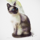 Siamese Cat - loose watercolor. Projekt z dziedziny Trad, c i jna ilustracja użytkownika Simon Lovell - 15.01.2022
