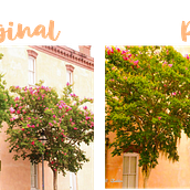 Mi Proyecto del curso: Creación de presets: edita con Lightroom desde tu smartphone. Photo Retouching, Mobile Photograph, Instagram, Instagram Photograph, Color Correction, and Color Theor project by Geraldine Bodden - 01.16.2022