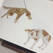 Dog Communication. Un progetto di Illustrazione tradizionale di Emma Rowsell - 17.01.2022