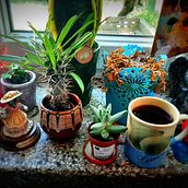 Windowsill. Photograph, Street Art, and Creativit project by Jule Ross - 01.17.2022