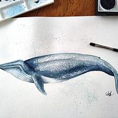 Mon projet du cours : Techniques d'illustration naturaliste : baleines à l'aquarelle. Projekt z dziedziny Trad, c, jna ilustracja,  Projektowanie plakatów, Ilustracja c, frowa i Manga użytkownika Alexandra Roy - 17.01.2022