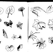 el jardin de cuacua. Traditional illustration project by FLOR PINOCHI - 01.17.2022