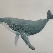 My project in Naturalist Illustration Techniques: Whales in Watercolor course. Traditional illustration, Poster Design, Digital Illustration, and Manga project by Nancy Mann - 01.17.2022
