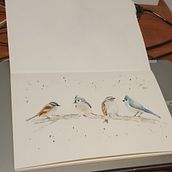 Mijn project van de cursus: Vogels illustreren met artistieke aquarel. Un proyecto de Ilustración tradicional, Pintura a la acuarela, Dibujo realista e Ilustración naturalista				 de Nicolette van Eenige - 14.01.2022