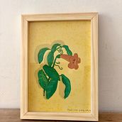 Flores de la Patagonia . Projekt z dziedziny Trad, c, jna ilustracja, Design i Projektowanie postaci użytkownika Marina Hernalz - 17.01.2022