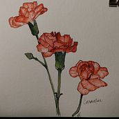 My project in Botanical Sketchbooking: A Meditative Approach course. Un progetto di Illustrazione tradizionale, Bozzetti, Disegno, Pittura ad acquerello, Illustrazione botanica e Sketchbook di jaustengurl - 12.01.2022