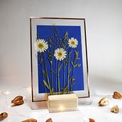 My project in Basic Botanical Pressing Techniques course. Arts, Crafts, Fine Arts, Collage, DIY, Floral, and Plant Design project by bianca.barbieru - 01.18.2022