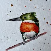 Mi Proyecto del curso: Acuarela artística para ilustración de aves. Traditional illustration, Watercolor Painting, Realistic Drawing, and Naturalistic Illustration project by Graciela Carpintero - 01.18.2022