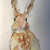 My project in Illustrating Nature: A Creative Exploration course. Projekt z dziedziny Trad, c, jna ilustracja,  Malarstwo,  R, sunek,  R, sunek atramentem, Ilustracja naturalist, czna i Malowanie akwarelą użytkownika Martha - 18.01.2022