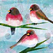 Impatient Redpolls. Traditional illustration, and Digital Illustration project by Liz Saunders - 01.18.2022