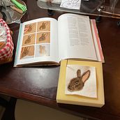 Dani Ives Book Project Bunny. Un progetto di Artigianato di Cathleen LeMaire - 19.01.2022