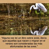 Mi Proyecto del curso: Introducción a la escritura narrativa . % Patricia Bonilla Thorschmidt tarafından hazırlanan Yazma, Hika, e anlatımı, Kurgu Yazımı, Yaratıcı Yazarlık, Ve Anlatı projesi - 01.13.2022