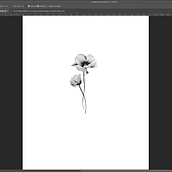 Mi Proyecto del curso: Técnicas de color para tatuajes. Traditional illustration, Drawing, Digital Illustration, Tattoo Design, and Digital Drawing project by pcraviotto - 01.23.2022