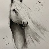 Mi proyecto del caballo blanco y negro. Jacqueline  . % invermajaca tarafından hazırlanan Geleneksel illüstras, on, Sulubo, a Resim, Gerçekçi Çizim, Doğalcı İllüstras, Ve on projesi - 01.16.2022