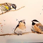My project in Artistic Watercolor Techniques for Illustrating Birds course. Traditional illustration, Watercolor Painting, Realistic Drawing, and Naturalistic Illustration project by krist3ann3 - 01.19.2022