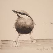 Il mio progetto del corso: Acquerello artistico per illustrazione di animali: gli uccelli. Traditional illustration, Realistic Drawing, and Naturalistic Illustration project by Laura Torelli - 01.20.2022