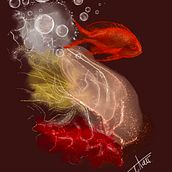 red fish. Traditional illustration project by Monica Locatelli - 01.02.2022