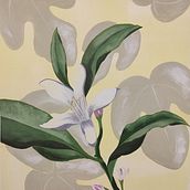 Mi Proyecto del curso: Pintura botánica con acrílico. Projekt z dziedziny Trad, c, jna ilustracja,  Sztuki piękne,  Malarstwo, Malarstwo akr, lowe, R i sunek botaniczn użytkownika cristina_g_escobar - 21.01.2022