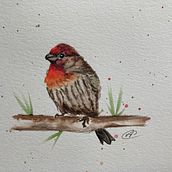 My project in Artistic Watercolor Techniques for Illustrating Birds course. Watercolor Painting, Traditional illustration, Realistic Drawing, and Naturalistic Illustration project by Mika Pratt - 01.15.2022