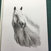 Monochromatic study of a horse. Watercolor Painting project by Sheila Smart - 01.21.2022